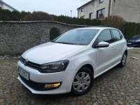 Polo Cool Edition Siewierz - zdjęcie 3