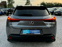 Lexus UX 250h,Hybryda,Jak nowy,Gwarancja Kamienna Góra - zdjęcie 6