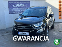 Ford EcoSport Pisemna Gwarancja 12 miesięcy
