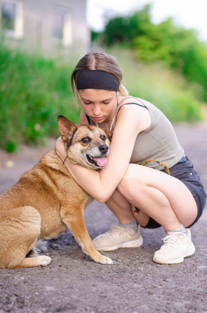 Tores - niekonfliktowy, rodzinny psiak! Olsztyn - zdjęcie 1
