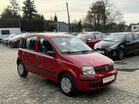 Fiat Panda Rezerwacja Tarnowskie Góry - zdjęcie 4