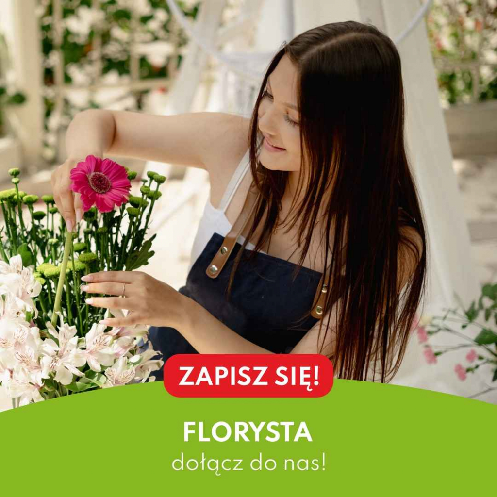 Całkowicie bezpłatna nauka Toruń - zdjęcie 4