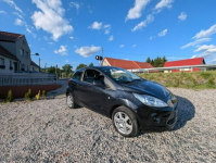 Ford KA 1.25 benzyna Bogata wersja Chempion League Kamienna Góra - zdjęcie 2