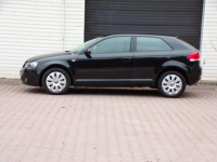 Audi A3 Lift / Klimatronic /1,6 /115KM /2006r Mikołów - zdjęcie 9