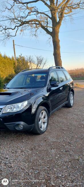 Subaru FORESTER JEŚLI JESTEŚ ZAINTERESOWANY SKONTAKTUJ SIE ! Dankowice - zdjęcie 2