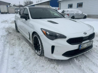 Kia Stinger Premium wyposażenie Siedlce - zdjęcie 3