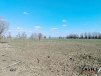 3 działki tylko 17km od Elbląga I Markusy I spokój Markusy - zdjęcie 9