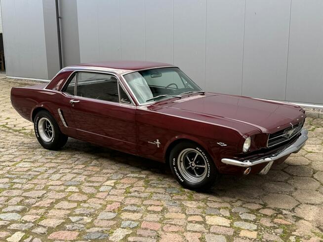 1965 Ford Mustang 289 v8 Automat Sprowadzony LUXURYCLASSIC Koszalin - zdjęcie 3