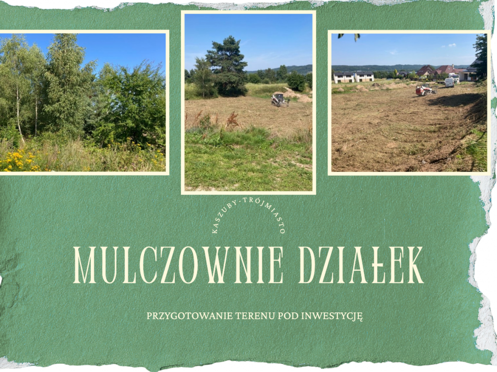 Czyszczenie działki i przygotowanie terenu pod budowę  -DRZEWUS Gdańsk - zdjęcie 1