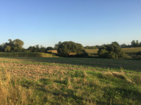 Działka na sprzedaż Golęczewo Golęczewo - zdjęcie 5