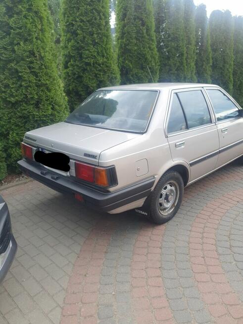 Nissan sunny z 1986r w diselku Cieciorki - zdjęcie 1