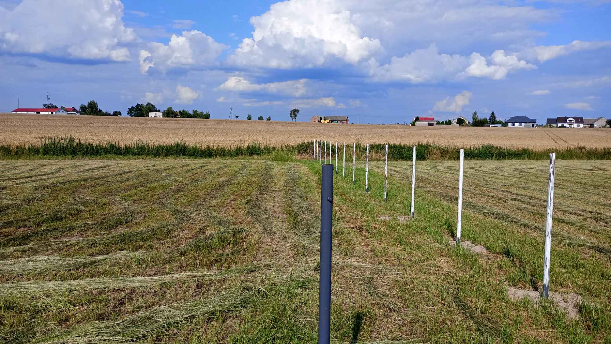 Działka budowlana Dobierzyn Lubraniec - zdjęcie 2