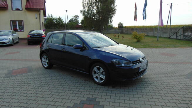 Piękny Golf 7 1.6 TDI Import Niemcy 171 tyś km Serwis Zobacz Baboszewo - zdjęcie 9