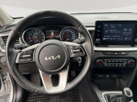 Kia Cee'd PY23835#1.5 T-GDI M 2 stref klima K.cof salon PL VAT23% Pępowo - zdjęcie 12