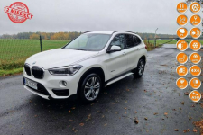 BMW X1 2.0d 190KM xDrive Sportline Bezwypadkowy  Gwarancja Ocice - zdjęcie 1