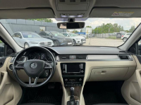 Skoda Rapid, 2016 Michałowice - zdjęcie 12