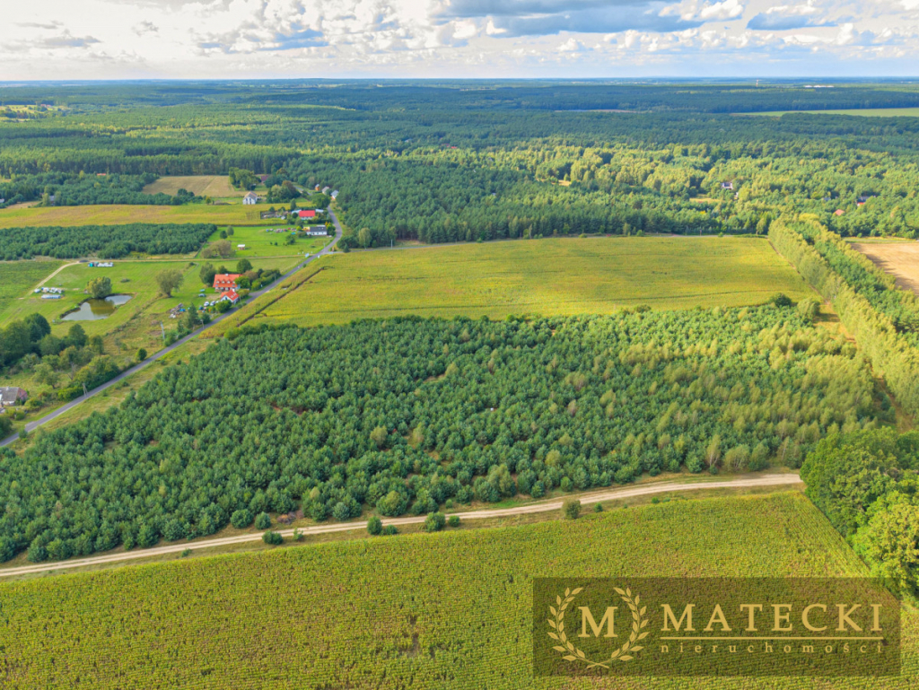 Wyjątkowa, duża działka z drzewami Karczewko - zdjęcie 1