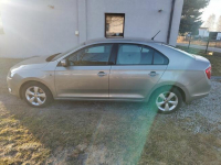 Sprzedam Marianki - zdjęcie 11