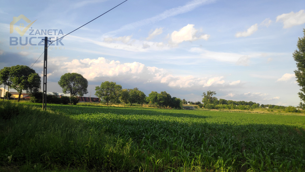 Działka w Kopytowie 34 470 m2 przy DK92 Kopytów - zdjęcie 1