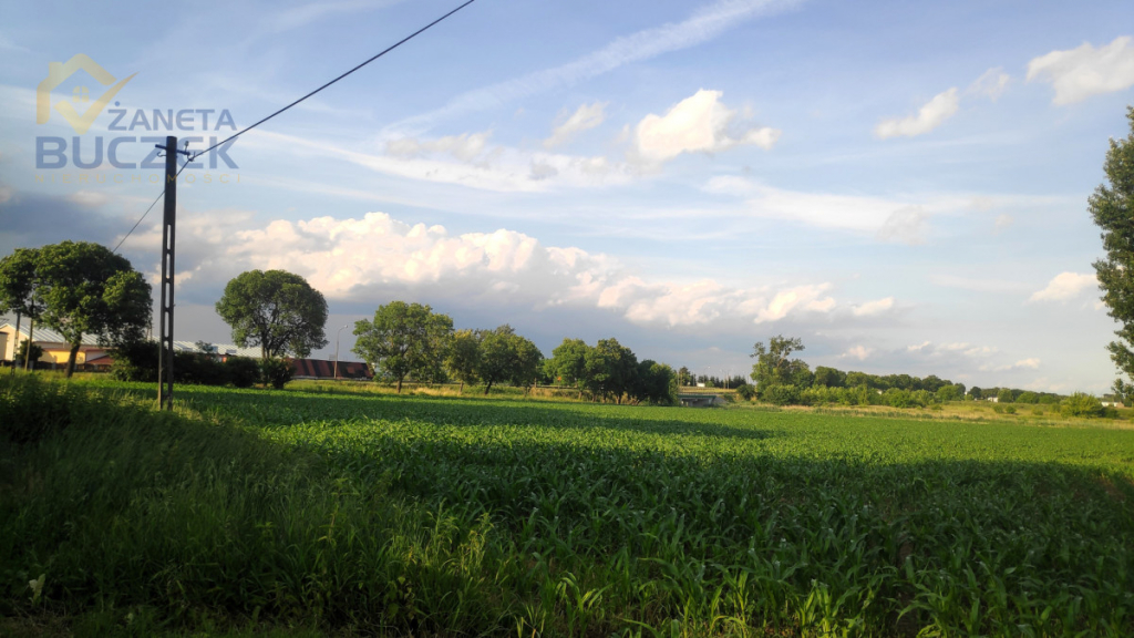 Działka w Kopytowie 34 470 m2 przy DK92 Kopytów - zdjęcie 1