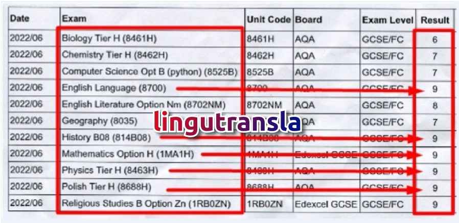 Tanie i Skuteczne Korepetycje: angielski, polski, matematyka itp. Śródmieście - zdjęcie 2