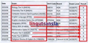 Tanie i Skuteczne Korepetycje: angielski, polski, matematyka itp. Śródmieście - zdjęcie 2