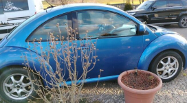 Volkswagen New Beetle z gazem LPG NOWY ROZRZĄD I BUTLA Ćmielów - zdjęcie 4