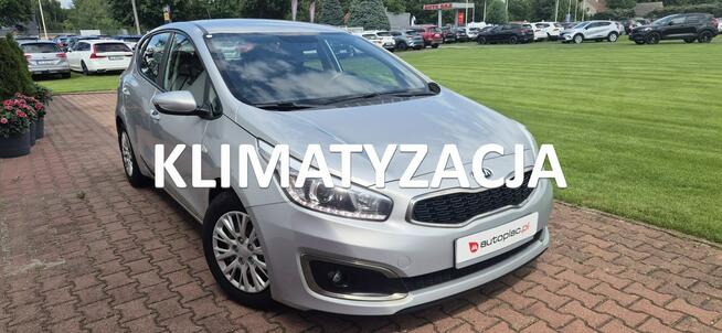 Kia Cee'd LED-MEDIA Paproć - zdjęcie 1