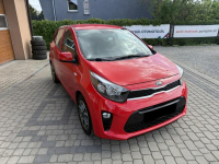 Kia Picanto !! Rezerwacja !! Orzech - zdjęcie 3