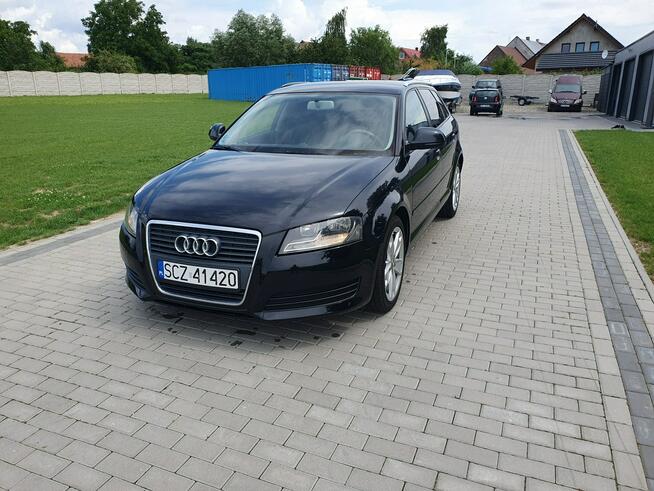 Audi A3 1.9tdi 105KM Sportback LIFT Raty Zamian Strobice - zdjęcie 2