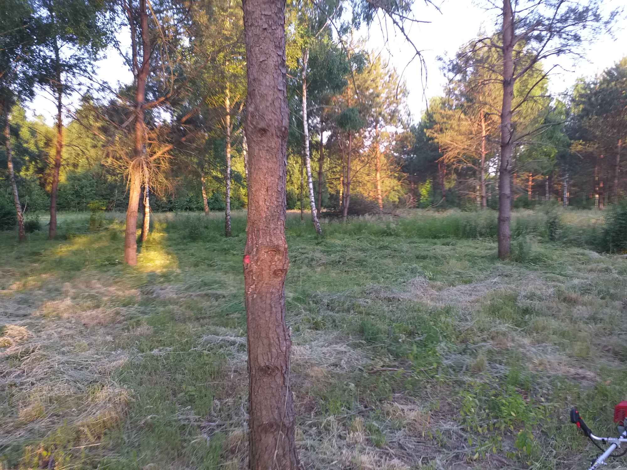 Sprzedam działkę budowlaną Ursynów - zdjęcie 3