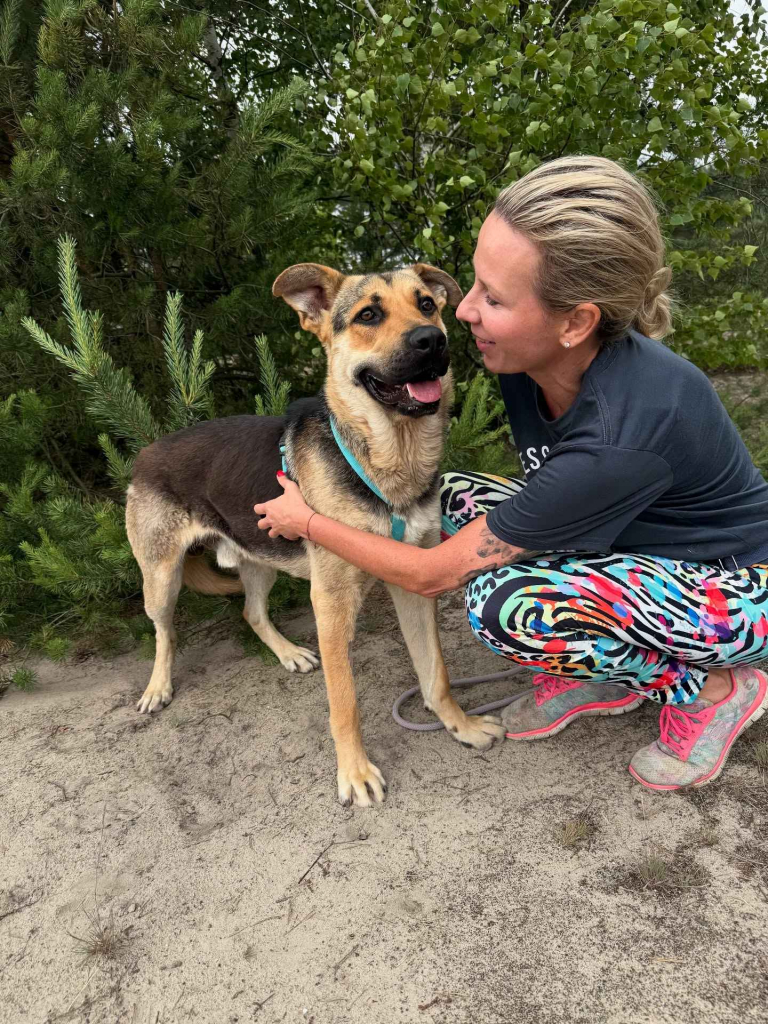 Magnus - młodziutki, kochany oczarkowaty dzieciak Olsztyn - zdjęcie 2