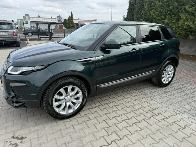 Land Rover Range Rover Evoque Zielona Łąka - zdjęcie 4