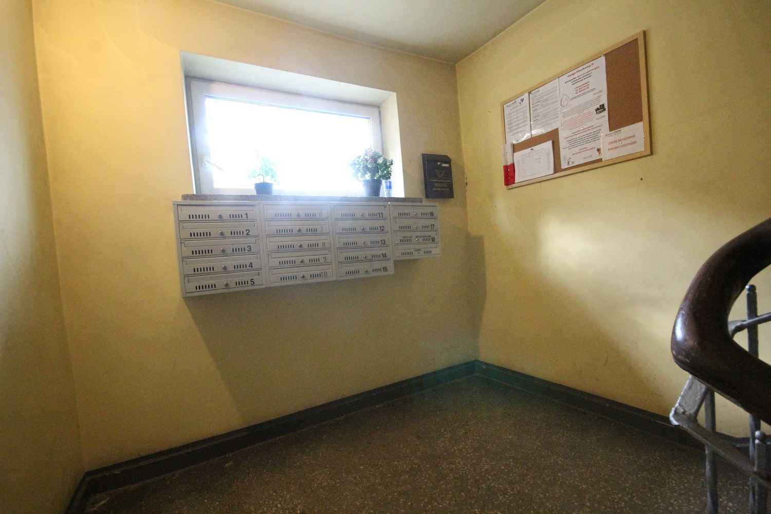 2pok, 42met, okolice Świdnickiej PIWNICA (Wrocław) Stare Miasto - zdjęcie 12