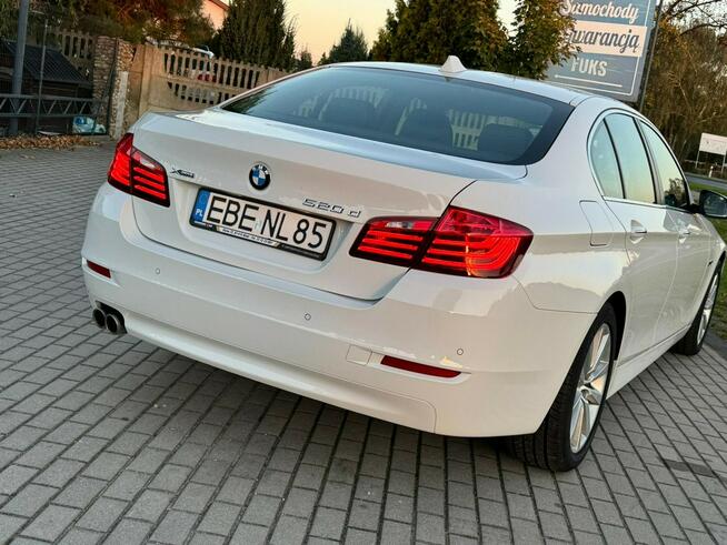 BMW 520 *Salon Polska*Gwarancja*Pełny VAT* Zduńska Wola - zdjęcie 8