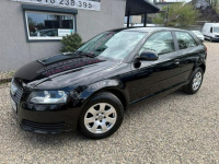 Audi A3 Bardzo Zadbany**140 KM**Tylko 2 Właściciel Ruda Śląska - zdjęcie 7
