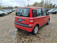 Fiat Panda 1.1 czysta benzyna Fasty - zdjęcie 4