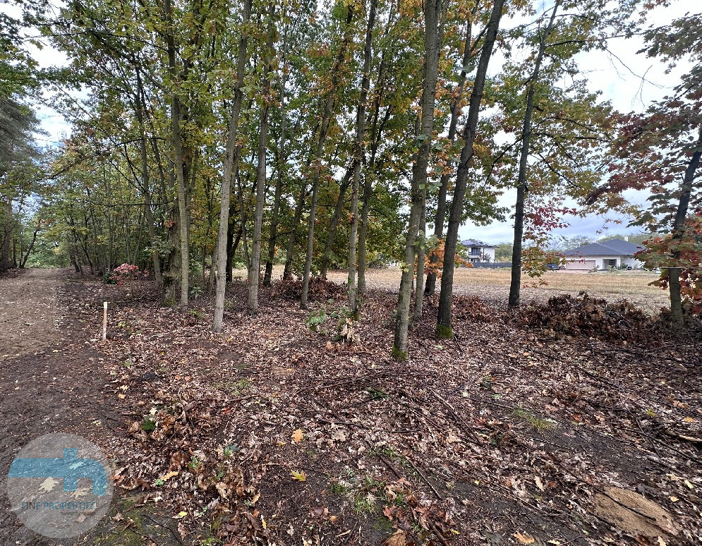 Atrakcyjna działka budowlana blisko lasu Kałuszyn - zdjęcie 5