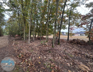 Atrakcyjna działka budowlana blisko lasu Kałuszyn - zdjęcie 5