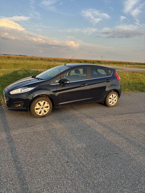 Ford Fiesta Mk 7 Róża - zdjęcie 3