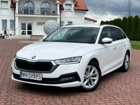 Octavia 2.0 TDI | 2023 | Serwis ASO | Salon PL | 116 KM | automat Nowe Iganie - zdjęcie 11