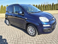 Fiat Panda 0,9benz Turbo. Serwis.Klimatyzacja.EL.szyby.LIFT.Hak.OKAZJA Kutno - zdjęcie 3