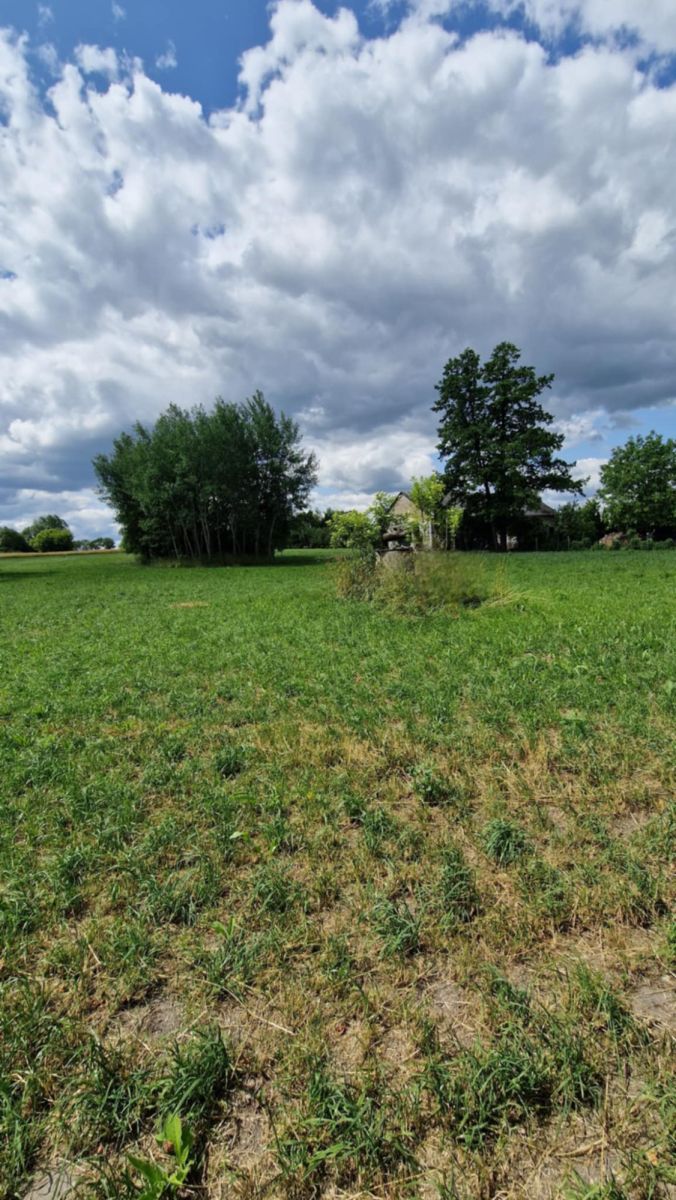 Działka rolno-budowlana w Dąbrówce Kościelnej Dąbrówka Kościelna - zdjęcie 8