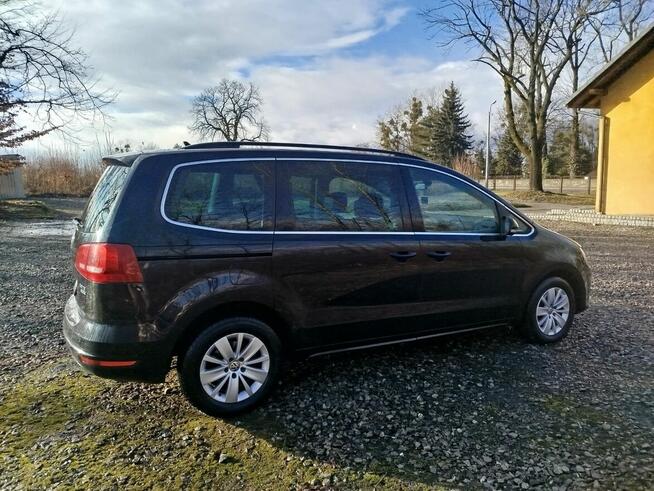 Sprzedam Sharana Zamarski - zdjęcie 1