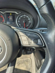 Audi A3 Grodzisk Wielkopolski - zdjęcie 12