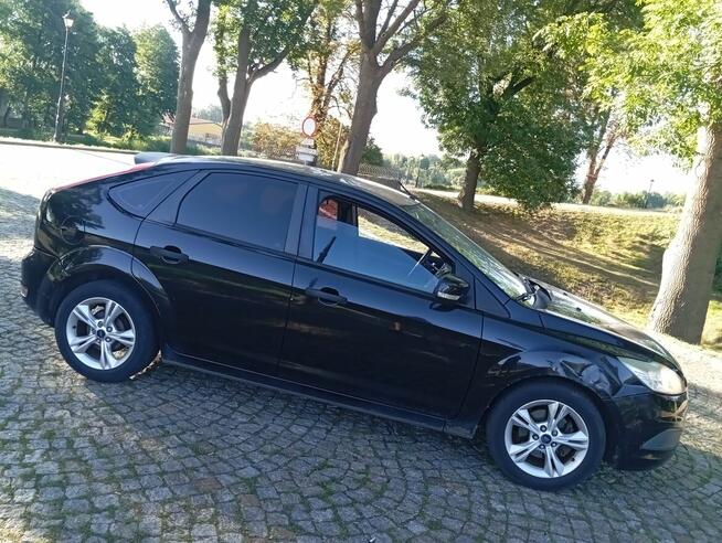 FOCUS/LIFT/SALON-POLSKA/SPRAWNY/1.6/BENZYNA/ Gostynin - zdjęcie 5