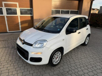 Fiat Panda 1,2 69KM  Klimatyzacja Orzech - zdjęcie 12