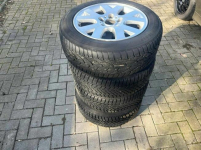 BMW 318 Bezwypadkowy Xenon klimatronik ! Rzeszów - zdjęcie 12