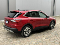 Ford Kuga TITANIUM 2.5 hybrid Skóra Automat Panorama Headup Kamera Koszalin - zdjęcie 6