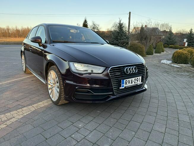 Audi A3 Lipówki - zdjęcie 1